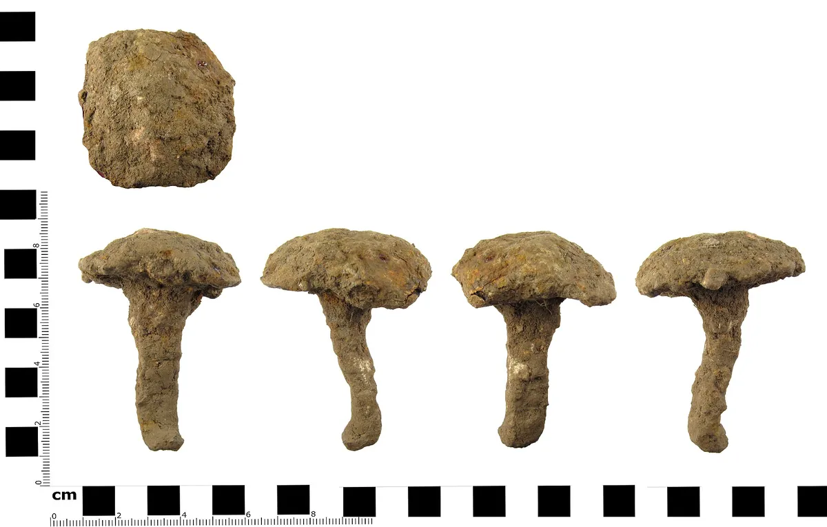 Rusty iron nail — typical field condition